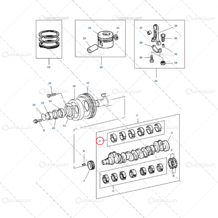 Piese tractor - SET CUZINETI BIELA STD MASSEY FERGUSON