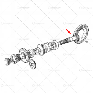 GRUP CONIC SPATE Z=9/43 FIAT [2]