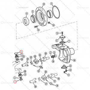 BUCSA PIVOT CASE IH APL330, APL1251 [1]