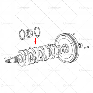 Fiat - ARBORE MOTOR FIAT