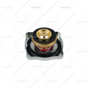 BUSON RADIATOR CASE IH [1]