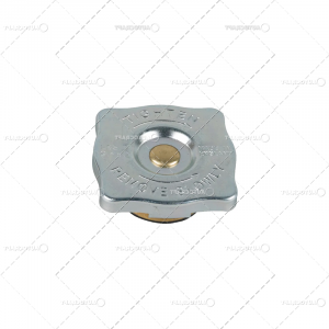 Racire motor - BUSON RADIATOR CASE IH