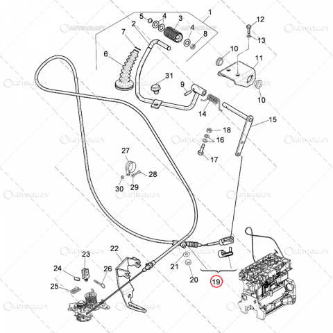 CABLU ACCELERATIE PICIOR LANDINI, MC CORMICK L=1520 [1]