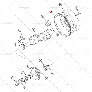 COROANA VOLANTA Z=126 CASE IH [1]