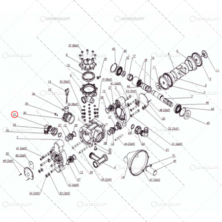 COT G1 1/4 POMPA ERBICIDAT Ø32 TOLVERI P-120 [1]