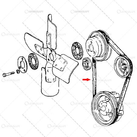 Curele ventilator - CUREA 10X1175 FIAT