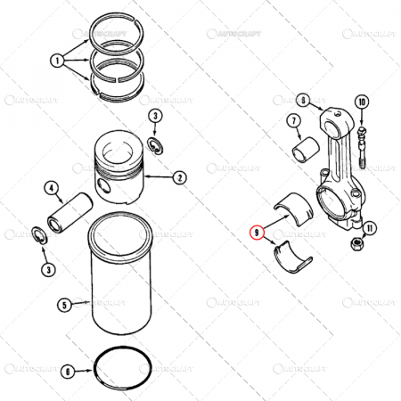 CUZINETI BIELA PERECHE STD (X1) CASE IH [1]