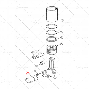 CUZINETI BIELA PERECHE STD CASE IH, MAXXUM, MX [1]