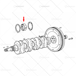 CUZINETI PALIER SET R3 FIAT 4 PISTOANE 0,762MM [2]