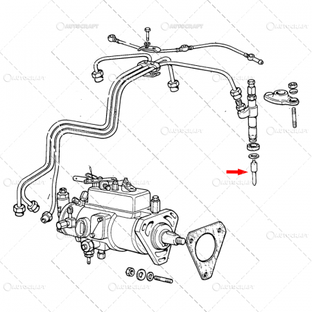 DIUZA INJECTOR FIAT [1]