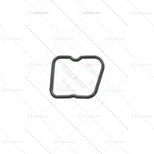 Garnitura culbutori capac camera supapelor - GARNITURA CAPAC CULBUTORI CASE IH