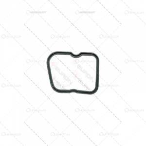 GARNITURA CAPAC CULBUTORI CASE IH [1]