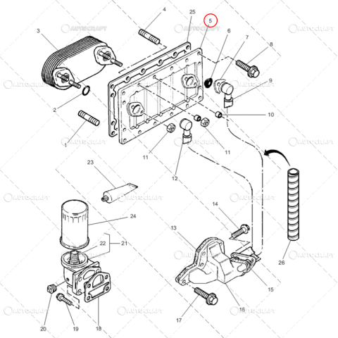GARNITURA CAPAC TERMOFLOT MASSEY FERGUSON, LANDINI [1]