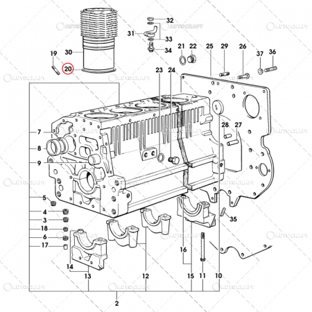 INEL CAMASA MOTOR SAME [1]