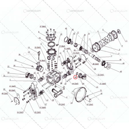 Tolveri - INEL O-RING COT FI25 45° CAPAC POMPA ERBICIDAT TOLVERI