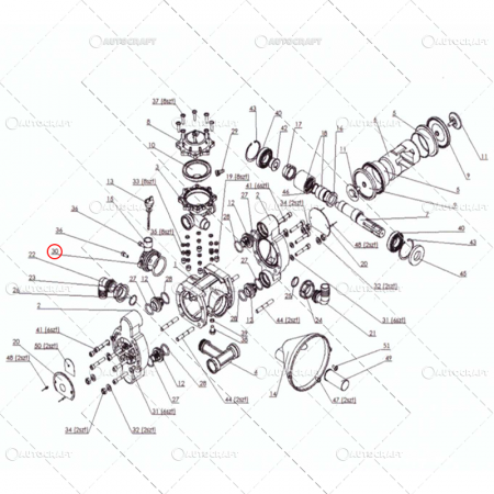 Tolveri - INEL O-RING RECIPIENT BAIE ULEI POMPA ERBICIDAT TOLVERI