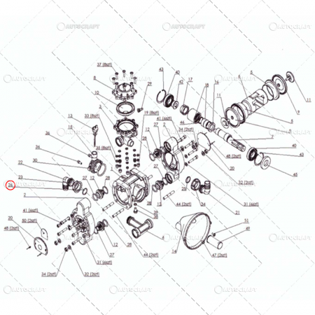 Tolveri - INEL O-RING COT FI32 90° CAPAC POMPA ERBICIDAT TOLVERI
