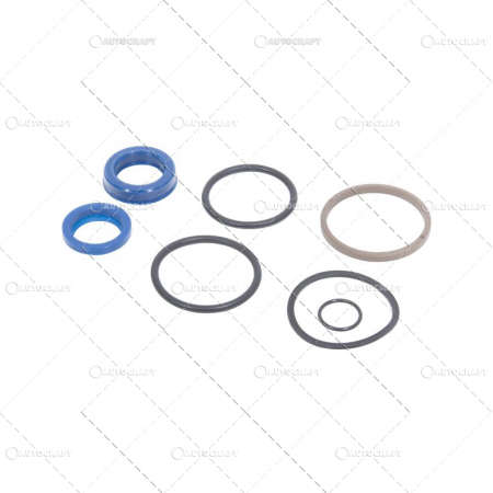 Fiat - KIT REPARATIE CILINDRU DIRECTIE FIAT - TIJA 25MM