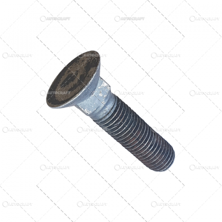 Mecanica Ceahlau - M20X80 SURUB BOLT PLAZ CAP NETED