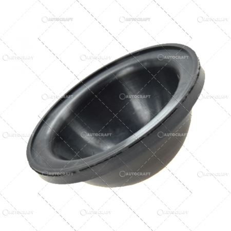 MEMBRANA PALARIE CAPAC POMPA ERBICIDAT BIARDZKI [1]