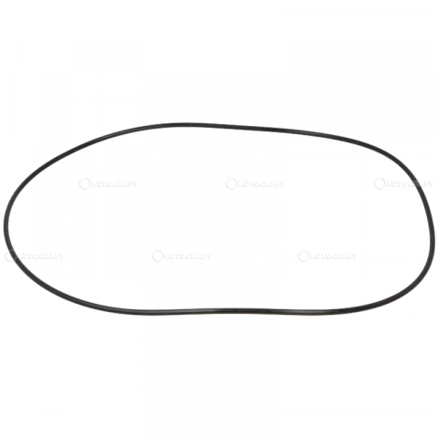 6200 - ORING DISC FRANA CASE IH, MC CORMICK, MASSEY FERGUSON