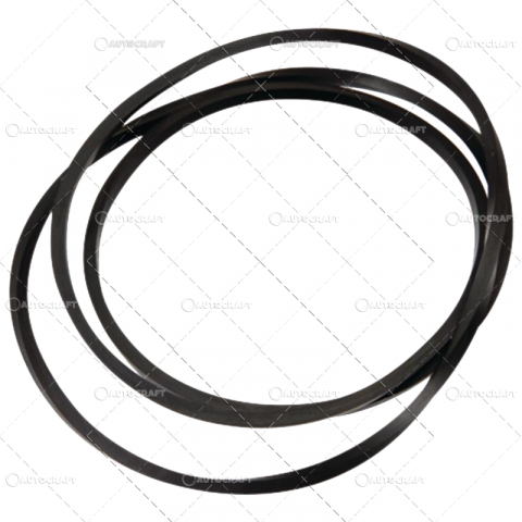 160-90DT - ORING DISC FRANA FIAT