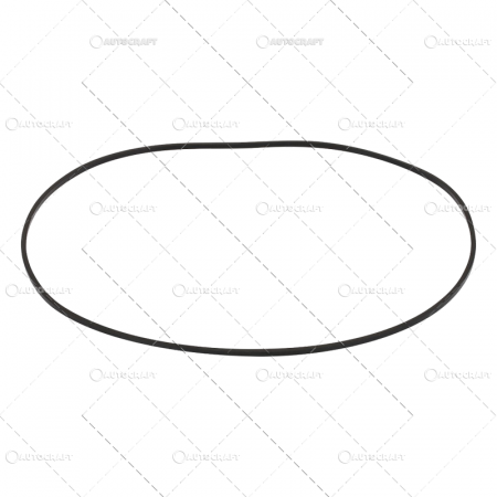 Garnitura - ORING DISC FRANA FIAT 306.4 X 3.4 MM
