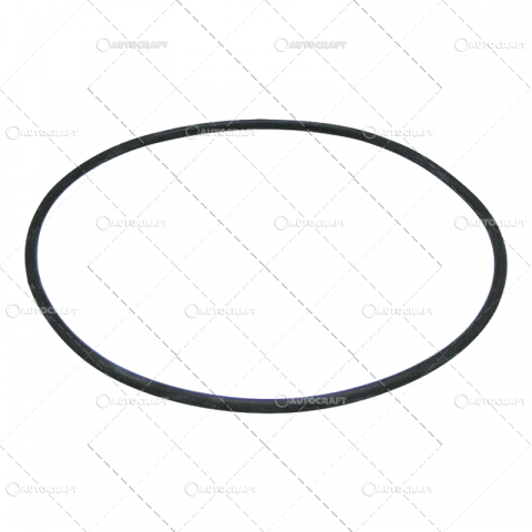 F100DT - ORING PLANETARA FATA FIAT, FORD, NEW HOLLAND