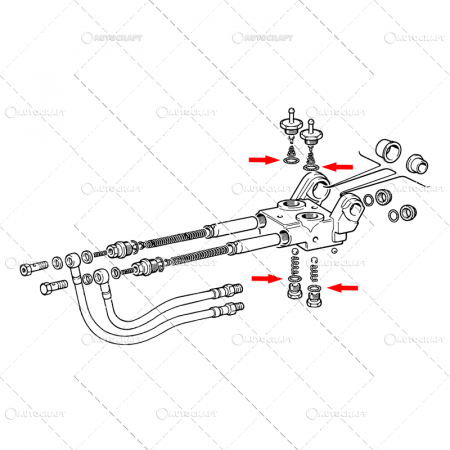 Cilindru de frana - ORING POMPA FRANA FIAT