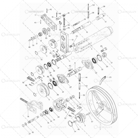 PINION AX FULIE MARE CULEGATOARE PORUMB SIP Z=21 D=30 [1]