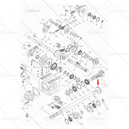 PINION AX GRUP CULEGATOARE PORUMB SIP FI 93/34x10 [1]
