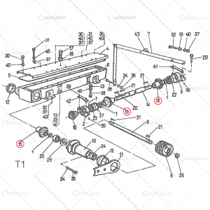 PINION COASA ROTATIVA Z=21 FI=25 MM [1]