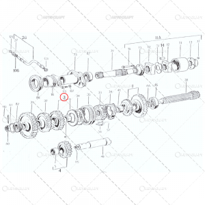 PINION CUTIE VITEZE III TRACTOR U445 [3]