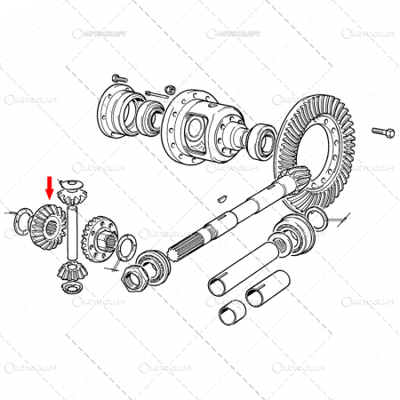 Diferential - PINION DIFERENTIAL SPATE FIAT