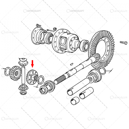 Diferential - PINION DIFERENTIAL SPATE FIAT