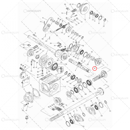 PINION GRUP CULEGATOARE PORUMB SIP FI 116x45 [1]