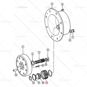 PINION SATELIT FATA CASE IH Z - 46 [1]