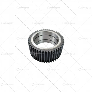 Punte fata 4 roţi motrice - PINION SATELIT FATA CASE IH Z - 46