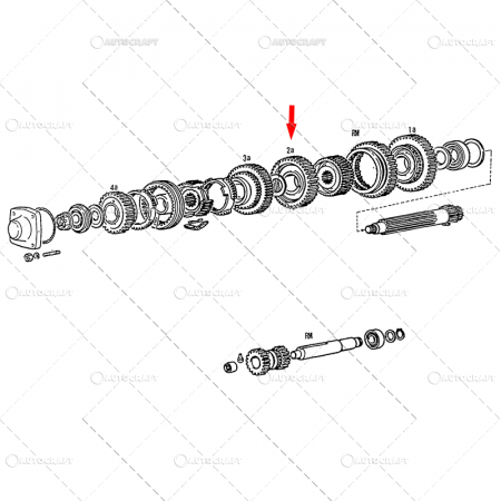 Cutie de viteze - PINION VITEZA 2 Z=41 FIAT