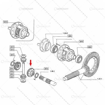 PINION Z=19 CARCASA DIFERENTIAL FIAT