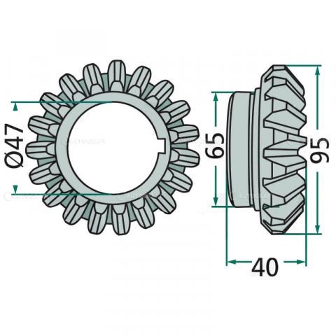 PINION Z=19 COASA ROTATIVA PZ, VICON, TAARUP, DEUTZ FAHR, KUHN, KVERNELAND [1]