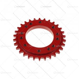 AP45 - PINION Z=30 PICK-UP PRESA BALOTI WELGER