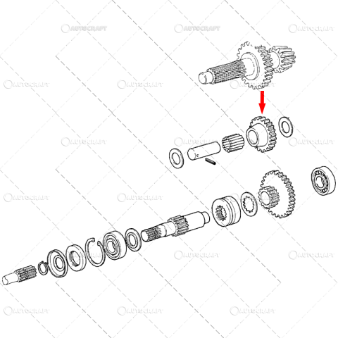 PINIZON DIFERENTIAL Z=24 PUNTE FATA FIAT, CASE IH [2]