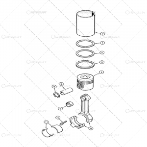 Piston si segmenti - PISTON+SEGMENTI MOTOR CASE IH