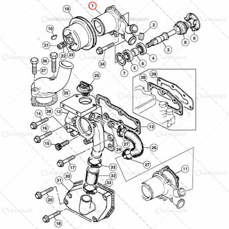 POMPA APA CASE IH C, CX, PERKINS [3]