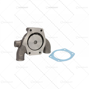 POMPA APA LANDINI [1]