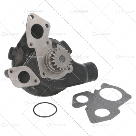 Pompe apa - POMPA APA LANDINI, MASSEY FERGUSON