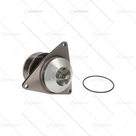 POMPA APA MASSEY FERGUSON [1]