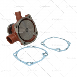 POMPA APA RENAULT [1]