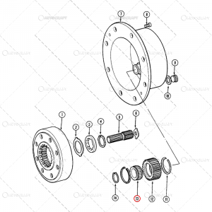 RULMENT PINION SATELIT CASE IH [1]